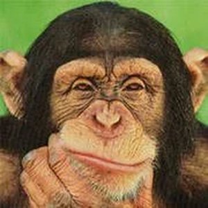 Chimp Memory Puzzle Challenge