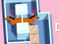 Equine Puzzle Journey