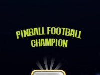 Pinball Soccer Arcade Champion