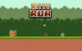 Feline Sprint Adventure
