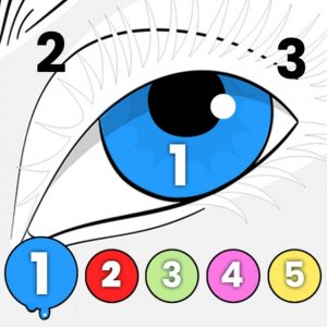Anycolor by Numbers Coloring Puzzle
