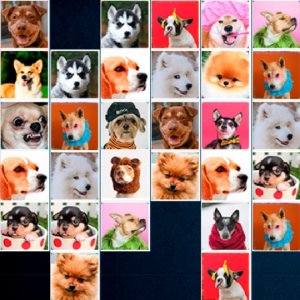 Dogs Connect Matching Puzzle