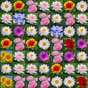 Mahjong Connect Flowers 2 Tile Matching Puzzle
