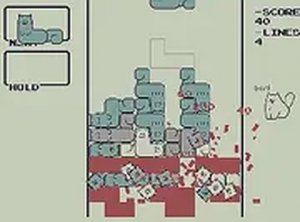 Kitty Block Stacker
